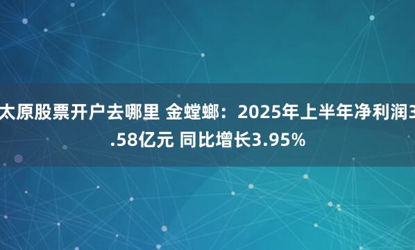 太原股票开户去哪里 金螳螂：2025年上半年净利润3.58亿元 同比增长3.95%