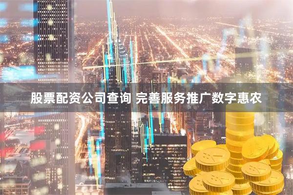 股票配资公司查询 完善服务推广数字惠农