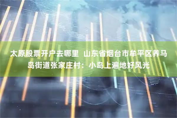 太原股票开户去哪里  山东省烟台市牟平区养马岛街道张家庄村：小岛上遍地好风光